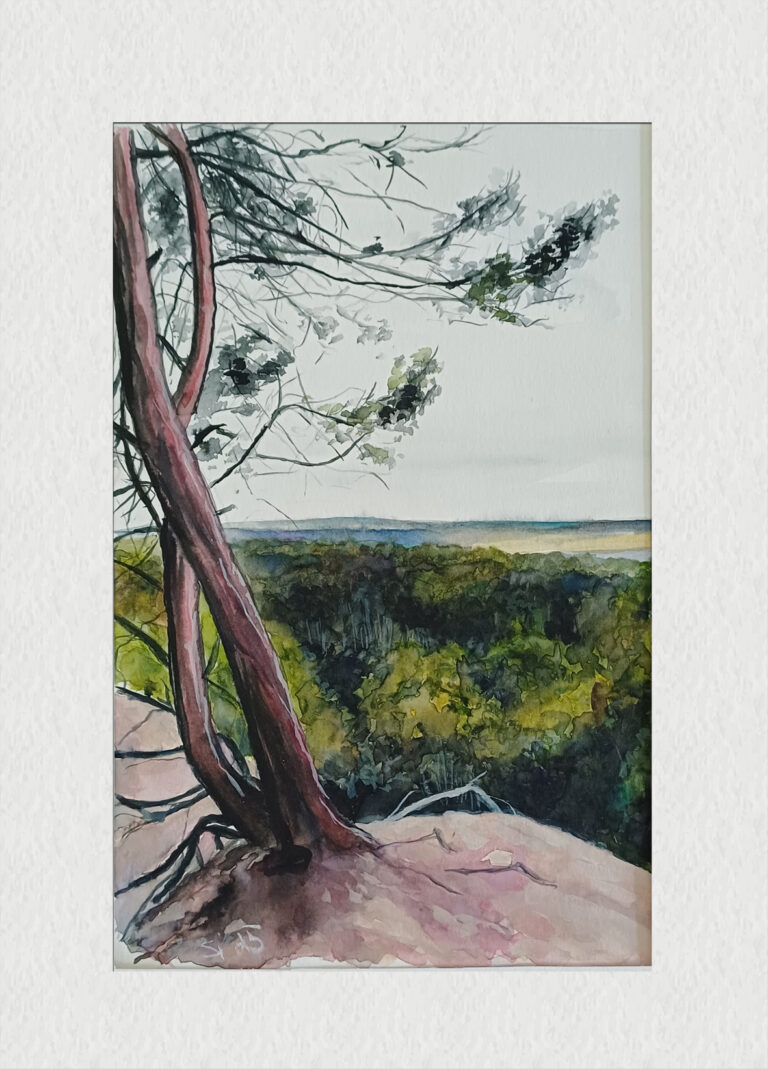 PÍSKOVIŠTĚ OBRA KOLODĚJE